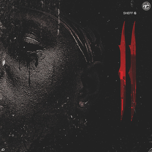 熟妇局长的淫态
