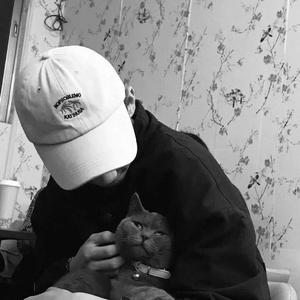 熟妇局长的淫态
