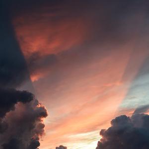 熟妇局长的淫态
